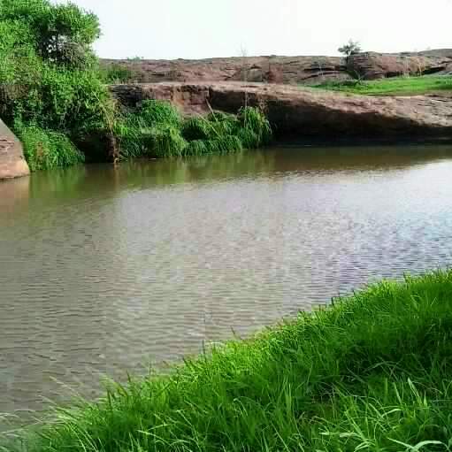 صورة موريتانيا تسجل أمطارا متفاوتة في أربع ولايات