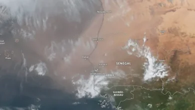 صورة تحذيرات للمسافرين.. عاصفة رملية تضرب موريتانيا والسنغال