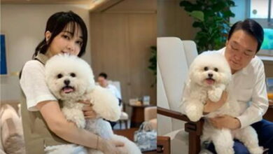 صورة كوريا الجنوبية.. زوجة الرئيس تدعو الشعب للتخلي عن تناول لحوم الكلاب