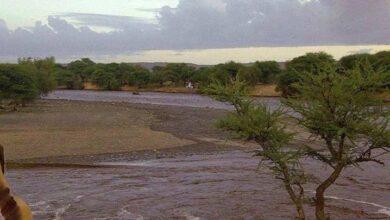 صورة موريتانيا :لارصاد الجوية تتوقع هطول أمطار على هذه المناطق من البلاد