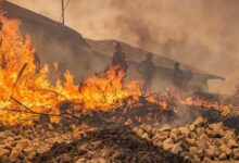 صورة المغرب يواصل جهوده لإخماد حرائق الغابات في شمال البلاد