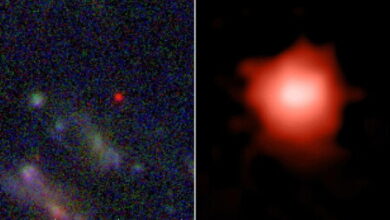 صورة علماء: “جيمس ويب” يعثر على أبعد مجرة تُرصد على الإطلاق
