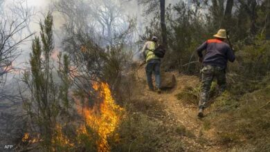 صورة مصرع 3 عمال إطفاء أثناء إخماد حريق شمالي المغرب