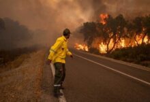 صورة المغرب يعلن السيطرة على حرائق الغابات في إقليم خنيفرة