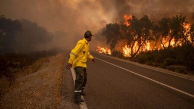 صورة المغرب يعلن السيطرة على حرائق الغابات في إقليم خنيفرة