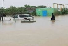 صورة الأمطار تغمر ‎%‎90 من مساحة مدينة انبيكه ونفوق عدد من المواشي في الحوض الشرقي