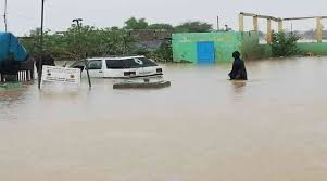 صورة الأمطار تغمر ‎%‎90 من مساحة مدينة انبيكه ونفوق عدد من المواشي في الحوض الشرقي