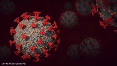 صورة منظمة الصحة العالمية تزف خبرا سارا بشأن وباء،فيروس كورونا