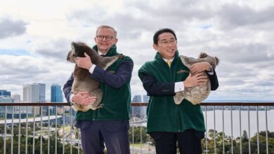 صورة حيوانات في استقبال رئيس وزراء اليابان إلى أستراليا