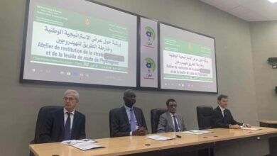 صورة وزارة البترول تفتح نقاشا على مقدرات موريتانيا في مجال الهيدروجين والطاقات المتجددة