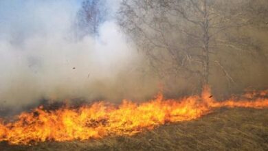 صورة نشوب حريق في مراعي تقع على بعد 10كلم غرب مدينة آلاك