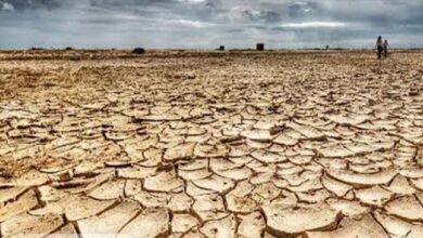 صورة تقرير: 6 دول عربية مهددة بـ”التأثير المدمر للتغير المناخي”!