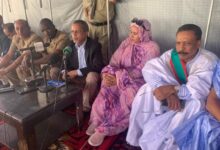 صورة وزير الزراعة يتفقد منشآت زراعية ومزارع وواحات في بنشاب