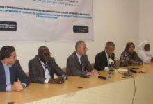 صورة لقاء تفكيري حول جرد وتحليل التدخلات لصالح الأطفال خارج المنظومة التربوية