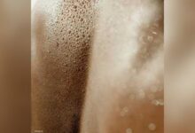 صورة دراسة.. فائدة غريبة لاستنشاق عرق الآخرين!