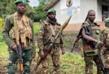 صورة ذبحوهم بالمناجل”.. 22 قتيلا في سلسلة هجمات إرهابية شرق الكونغو الديمقراطية