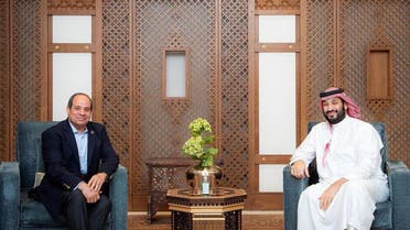 صورة ولي العهد السعودي والرئيس المصري يبحثان آفاق التعاون وسبل تعزيزه