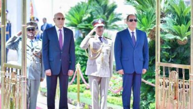 صورة القاهرة: أبرز ملفات زيارة رئيس الجمهورية لمصر ودلالاتها في ظل التحديات الإقليمية