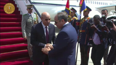 صورة الرئيس المصري يستقبل رئيس الجمهورية في مطار القاهرة الدولي