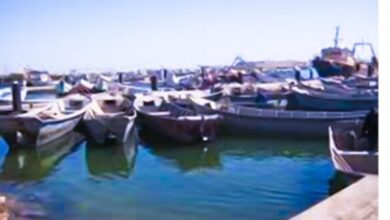 صورة موريتانيا: وزارة الصيد والاقتصاد البحري تحدد موعد انتهاء الراحة البيولوجية