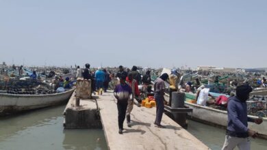صورة نواذيبو: آلاف الزوارق تبحر في عمق المياه الموريتانية بعد إنتهاء الراحة البيولوجية