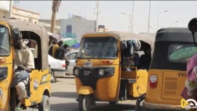 صورة وزارة النقل تحدد شروطا لعمل مركبات”تيك توك”