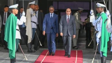 صورة رئيس الجمهورية يتوجه الى مصر لحضور قمة حول القضية الفلسطينية وعملية السلام.