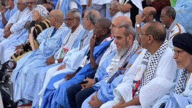 صورة موريتانيا: الأحزاب السياسية تنظم مهرجان حاشدا تضامنا ونصرة للشعب الفلسطيني