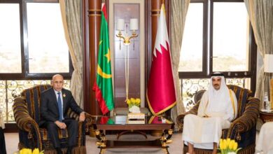 صورة رئيس الجمهورية يجري مباحثات مع أمير دولة قطر على هامش قمة الرياض