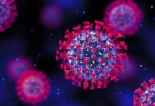 صورة منظمة الصحة العالمية: الفيروس التاجي المستجد مستمر في التحور