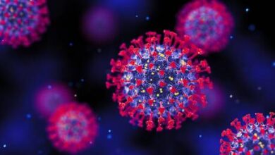 صورة منظمة الصحة العالمية: الفيروس التاجي المستجد مستمر في التحور