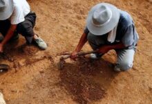 صورة الصين.. العثور على أقدم قطعة أثرية عمرها أكثر من 7.7 ألف عام