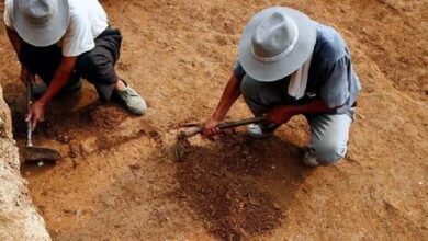 صورة الصين.. العثور على أقدم قطعة أثرية عمرها أكثر من 7.7 ألف عام