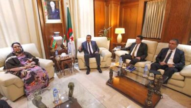 صورة الحزائر: وزيرة التشغيل والتكوين المهني تلتقي وزير الطاقة و المناجم الجزائري