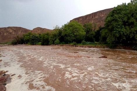 صورة مدير بالأرصاد الجوية الوطنية: مجاميع المطر هذه السنة خالفت التوقعات