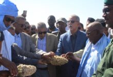 صورة وزير الزراعة يبدأ زيارة تفقدية للحوض الشرقي ويؤكد التزام الحكومة بدعم القطاع الزراعي