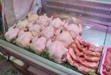 صورة وزارة التجارة تحدد أسعار الدجاج المستورد وتمنع المضاربات