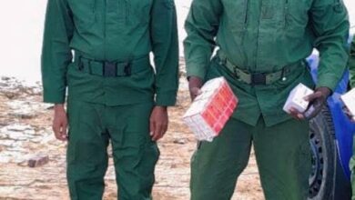 صورة ضبط كمية معتبرة من الأدوية المهربة قادمة من إحدى دول الجوار عبر زورق نهري.