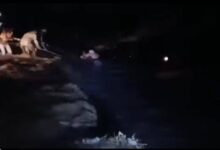 صورة فرق من الجيش الوطني والأمن ينقذان سيدة ورجل بشكل بطولي