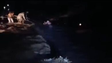 صورة فرق من الجيش الوطني والأمن ينقذان سيدة ورجل بشكل بطولي