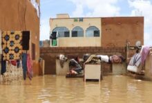 صورة منظمة استثمار نهر السنغال تدق ناقوس الخطر في لاية غورغول