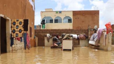 صورة منظمة استثمار نهر السنغال تدق ناقوس الخطر في لاية غورغول