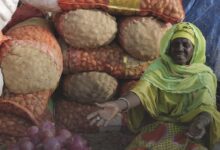 صورة السنغال تستعد لإطلاق خطة إنعاش اقتصادي