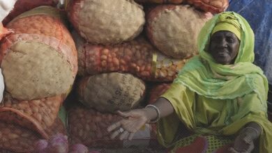 صورة السنغال تستعد لإطلاق خطة إنعاش اقتصادي