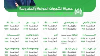 صورة حصيلة الأسبوع الوطني للشجرة 2025