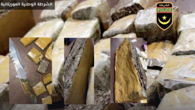 صورة تفكيك عصابة اجرامية تنشط في المتاجرة بالمخدرات