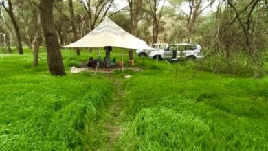 صورة مقاييس الأمطار التي تساقطت خلال ال 24 ساعة الماضية