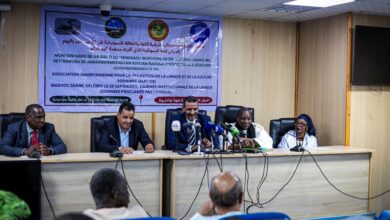 صورة وزير الثقافة يشرف على تخليد بلادنا اليوم العالمي للغة السوننكية