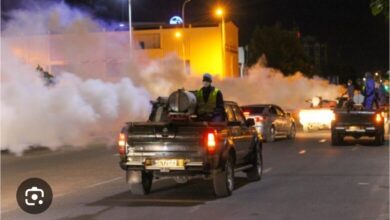 صورة جهة نواكشوط تطلق حملة لمكافحة البعوض وتدعو المواطنين لمواكبتها