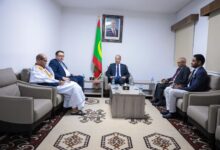 صورة وزير التكوين المهني والصناعة التقليدية والحرف يستقبل مدير مكتب منظمة العمل